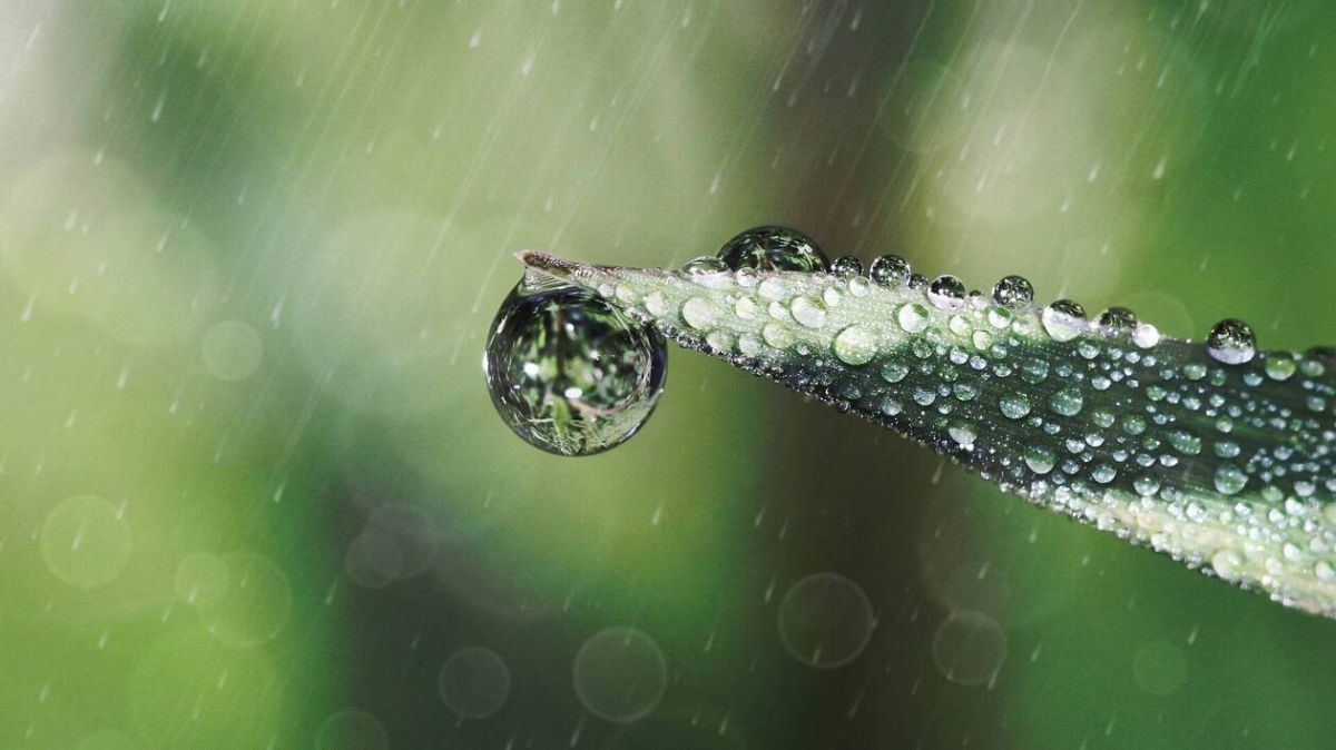 Prévisions météo : un vendredi humidifié sur Cherbourg-Octeville