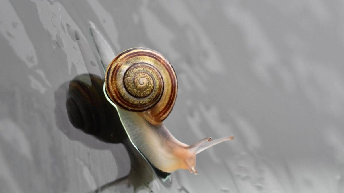 Un samedi pluvieux suivi d'éclaircies à Granville : la météo du 28 février 2026