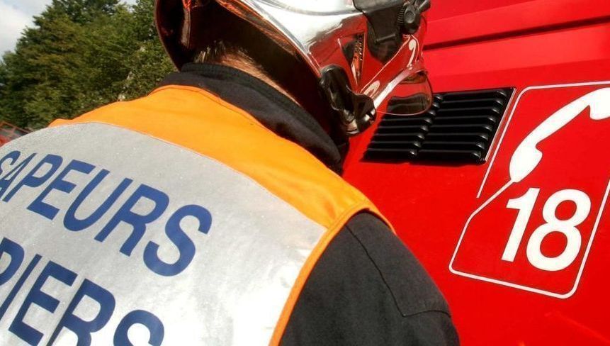 Des accidents dramatiques causés par des animaux dans le Vaucluse