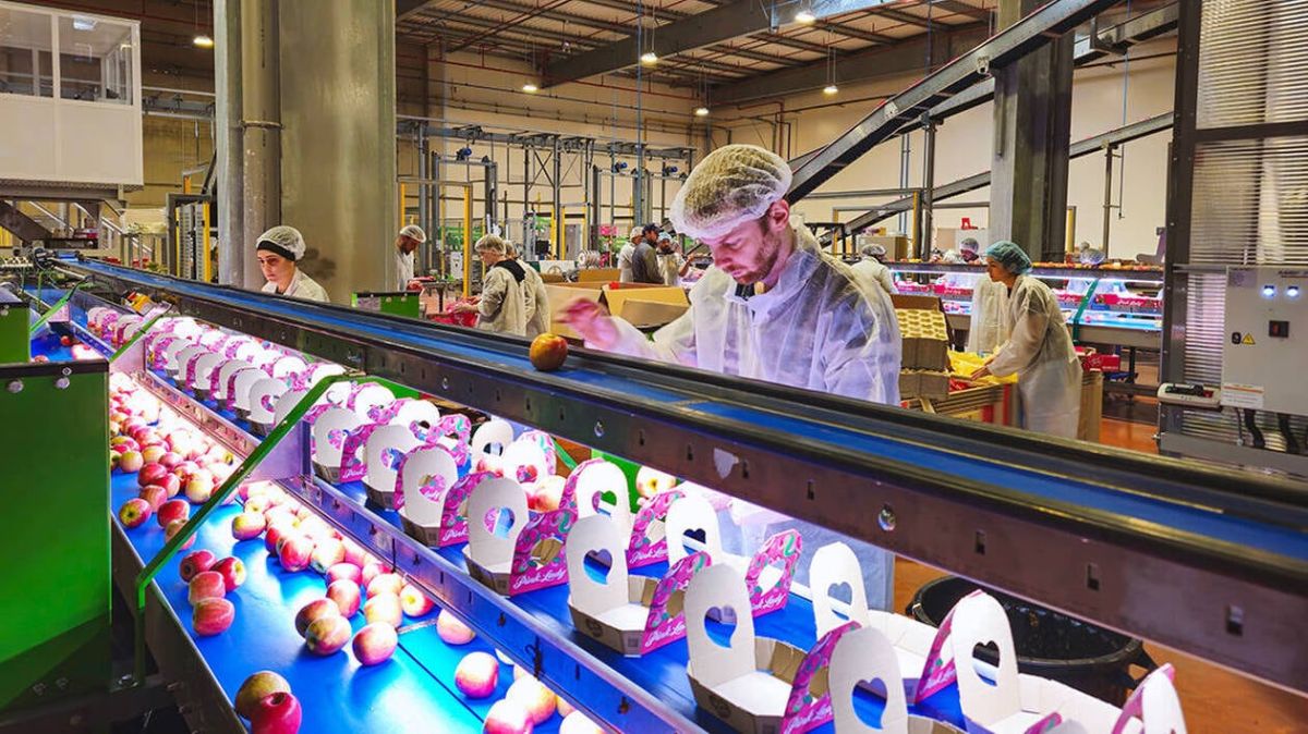 Innatis à la recherche d'un repreneur : l'inquiétude monte chez le numéro deux de la pomme en France