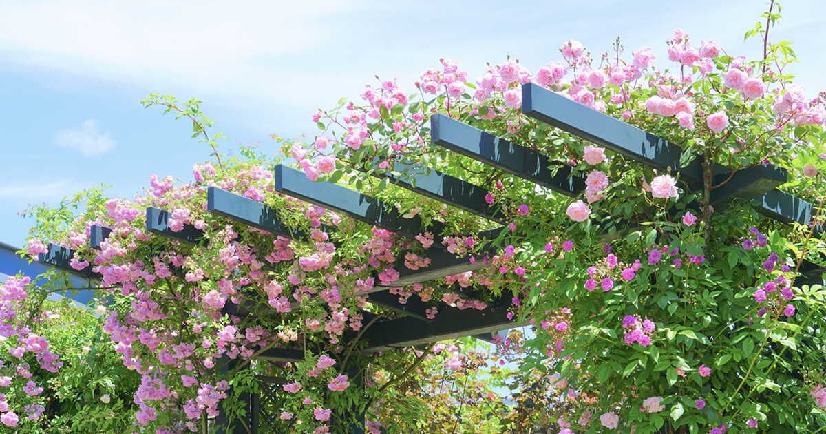 Aménager un coin d'ombre au jardin
