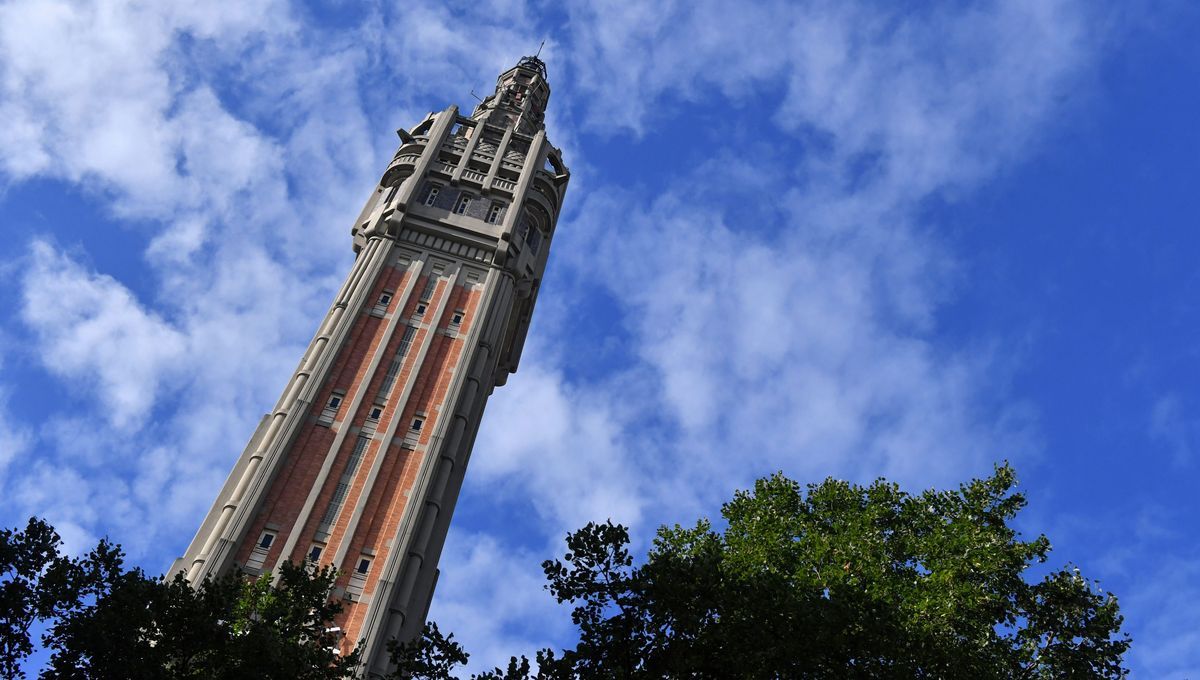 Arnaud Deslandes : un avenir prometteur pour les municipales à Lille