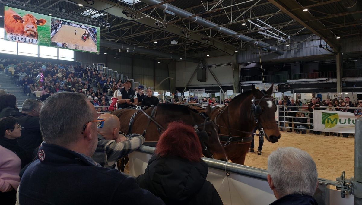 Salon de l'agriculture de Tarbes : un bilan mitigé face aux défis