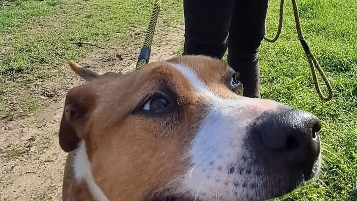 Mazamet : Titaz, un chemin vers une nouvelle vie