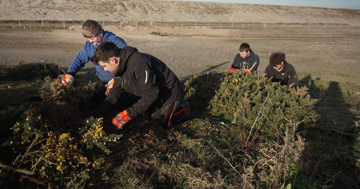 Des lycéens s'engagent pour sauver les espaces naturels de la baie de Somme