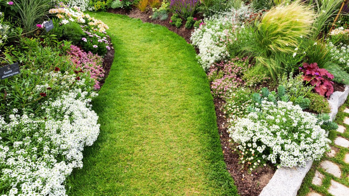 Des fleurs éblouissantes pour un jardin éclatant