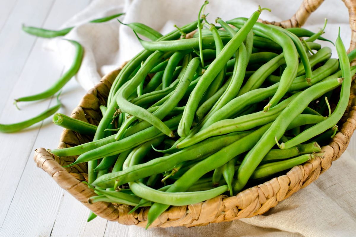 Comment choisir des haricots verts tendres et savoureux