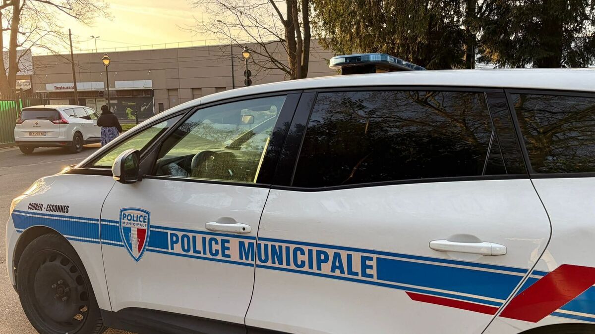Incendie criminel dans une école à Corbeil-Essonnes : trois adolescents interpellés