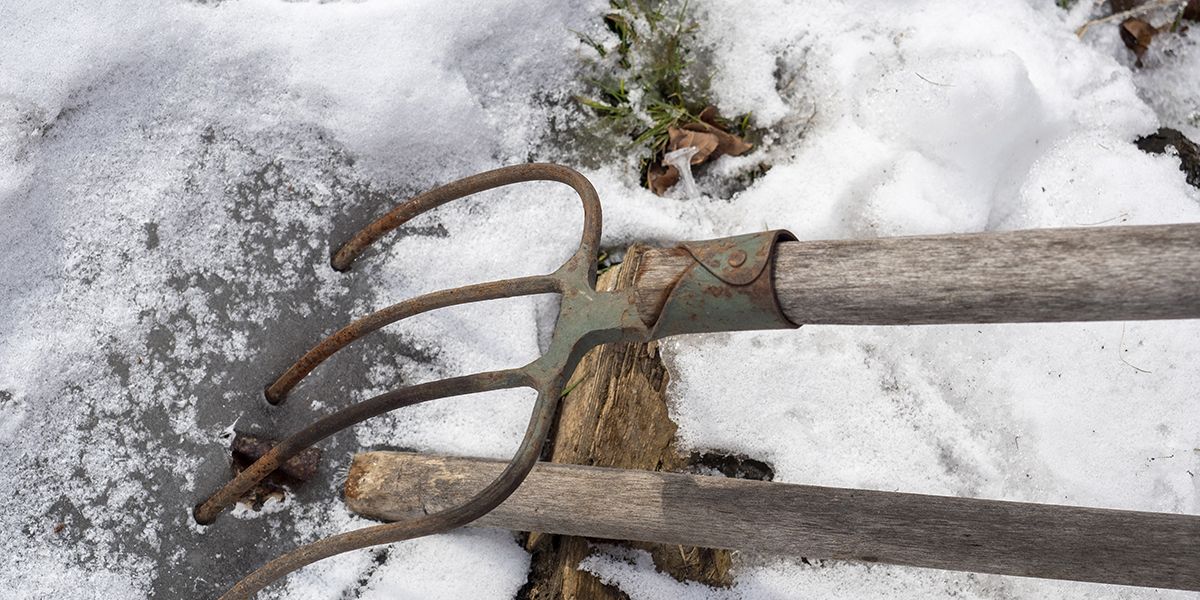 Travailler un sol gelé : est-ce vraiment possible en hiver ?