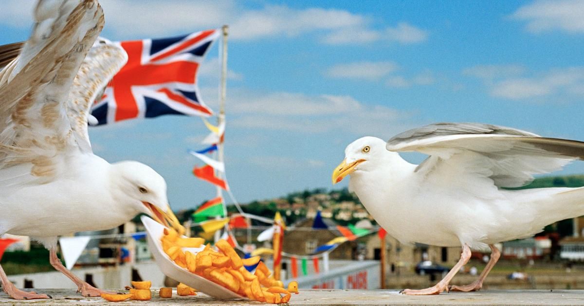 Art et gastronomie au programme : une semaine haute en saveurs