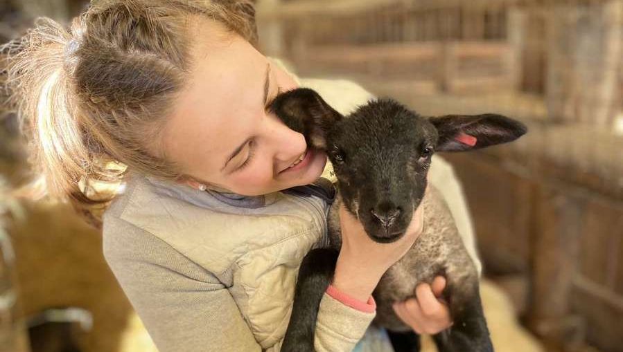 Une jeune agricultrice redonne vie à l'élevage de brebis dans les Landes