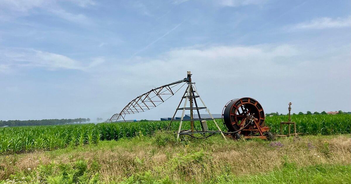 Plus de 2.600 emplois saisonniers à saisir au Forum Jobs d'été de Mont-de-Marsan