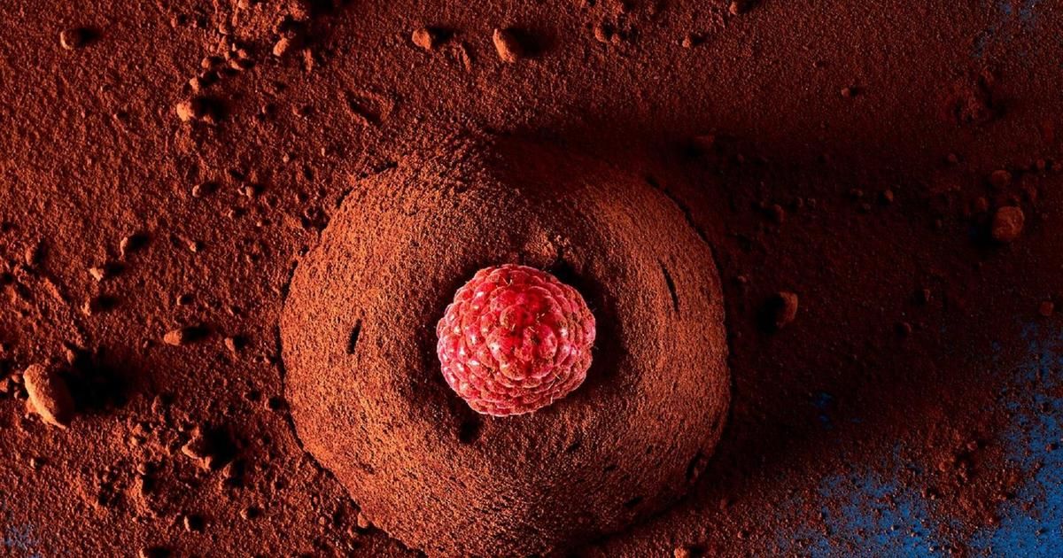 Des desserts chocolatés pour un Noël tout en douceur