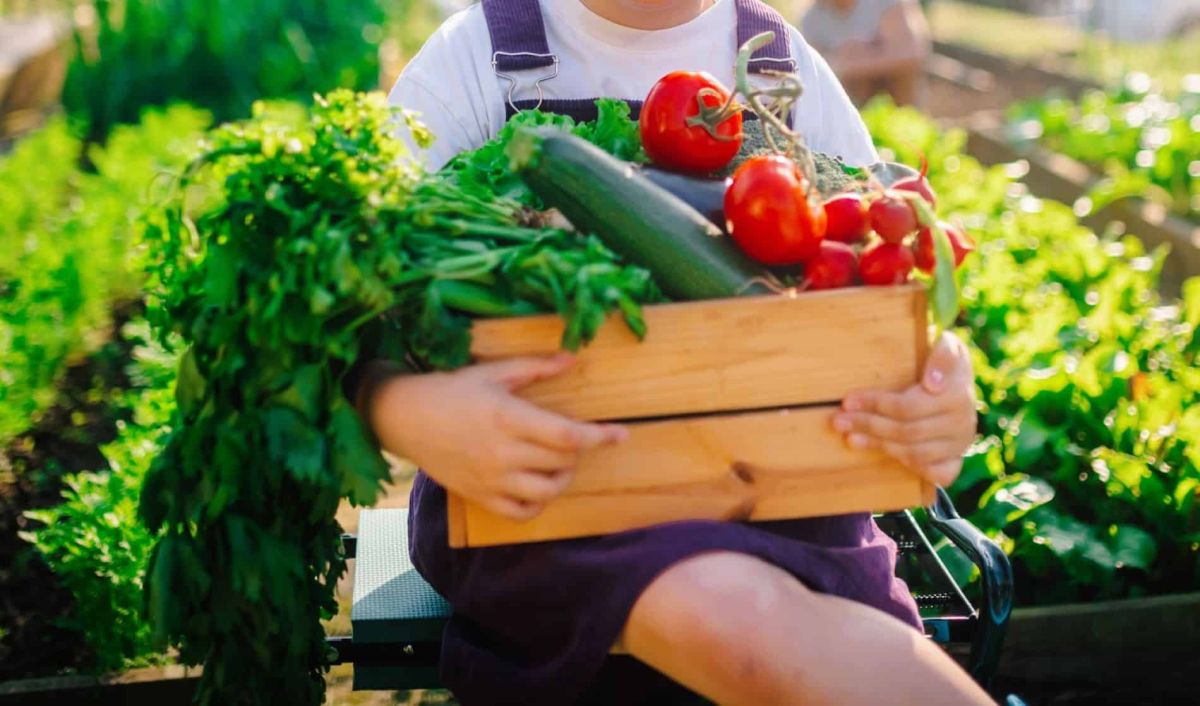 J'ai optimisé l'emplacement de mes légumes et j'ai triplé ma récolte