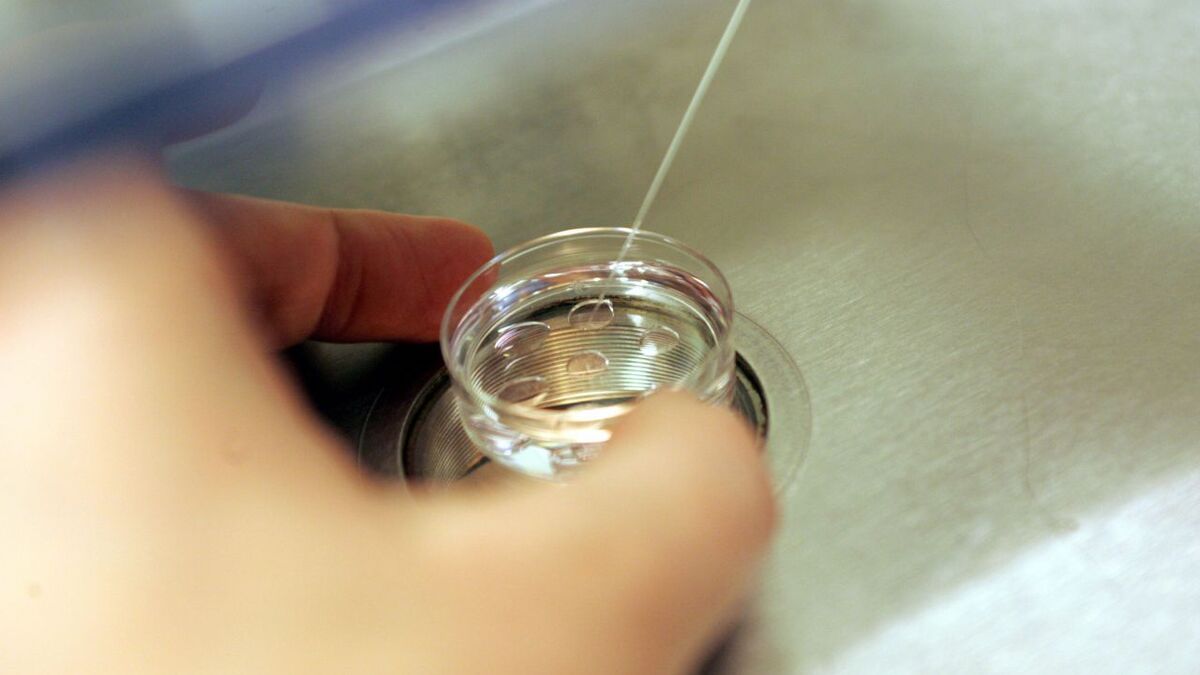 Un drame familial : un couple britannique découvre que leur donneur de sperme n'est pas le père