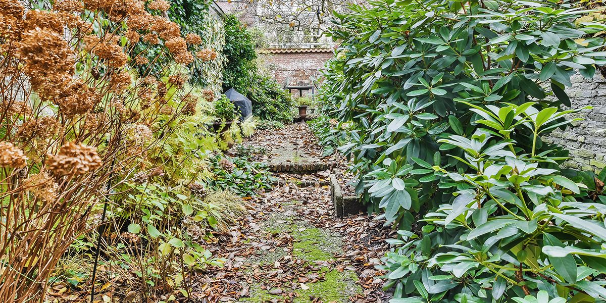 Gérer son jardin sans sacrifier son temps : 9 astuces à découvrir