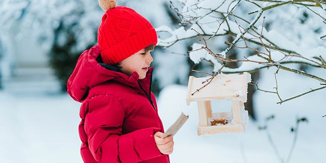 Des idées d'activités d'hiver à faire au jardin avec les enfants
