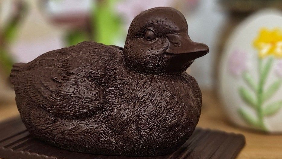 Une nouvelle chocolaterie éveille les papilles à Guéret