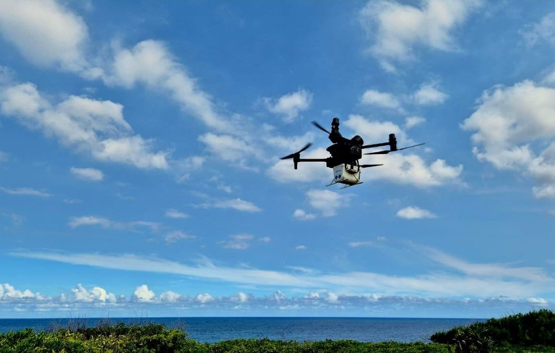 La lutte contre le moustique tigre : vers une solution innovante d'ici 2030 ?