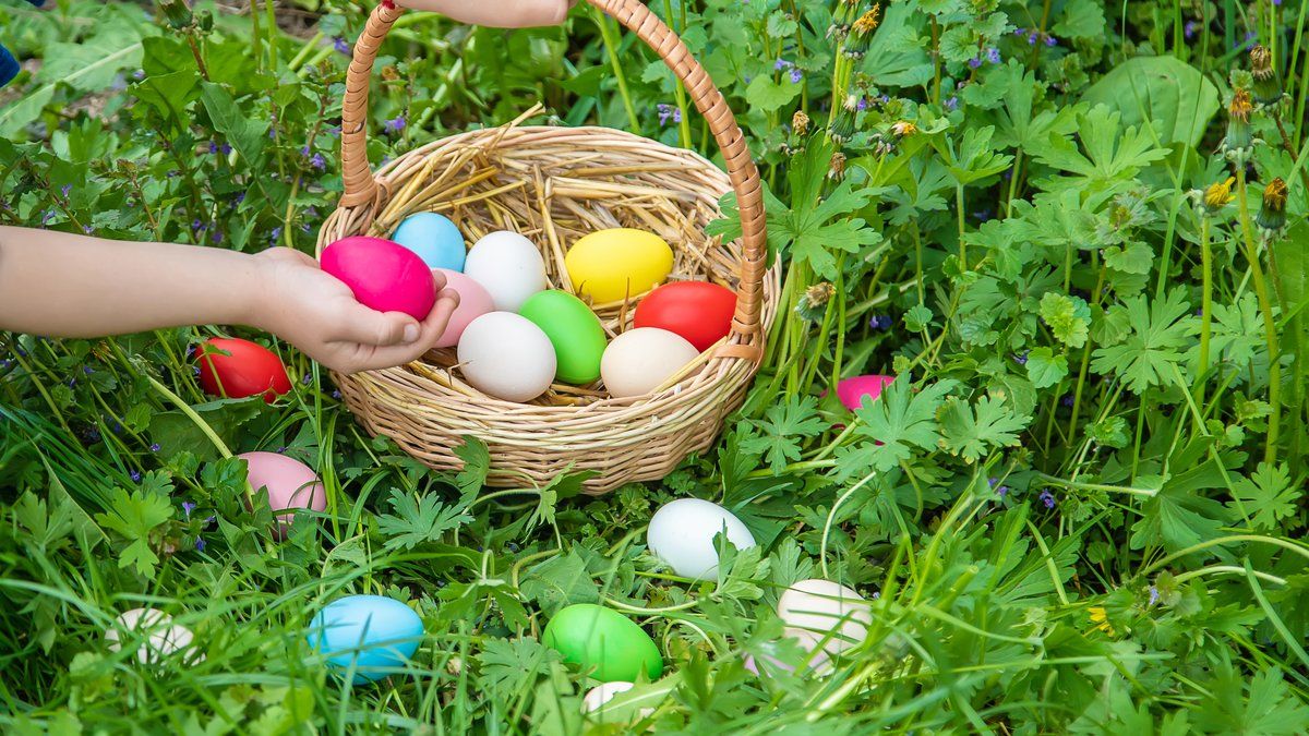 Un tragique accident lors d'une chasse aux œufs en Allemagne fait trois victimes