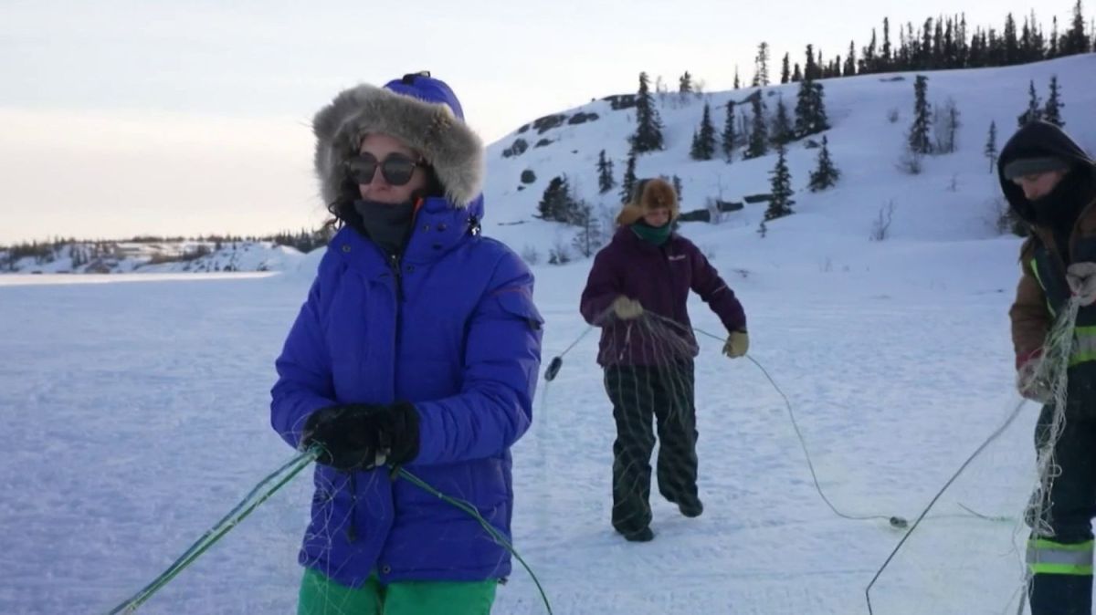 Survivre aux -30 degrés : immersion dans le quotidien des habitants de Yellowknife