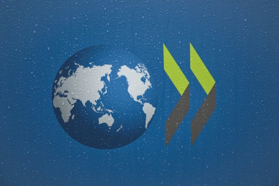 L'alerte de l'OCDE sur l'aide au développement : une chute alarmante pour 2025