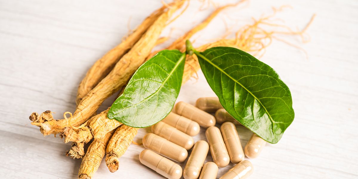 Les secrets des plantes adaptogènes : alliées de votre bien-être