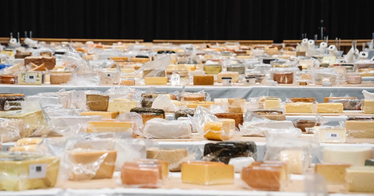 Un fromage suisse sacré meilleur du monde aux World Cheese Awards