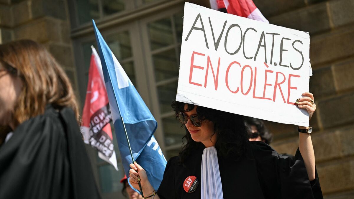 Avocats en colère : mobilisations devant le Sénat contre la réforme de Darmanin