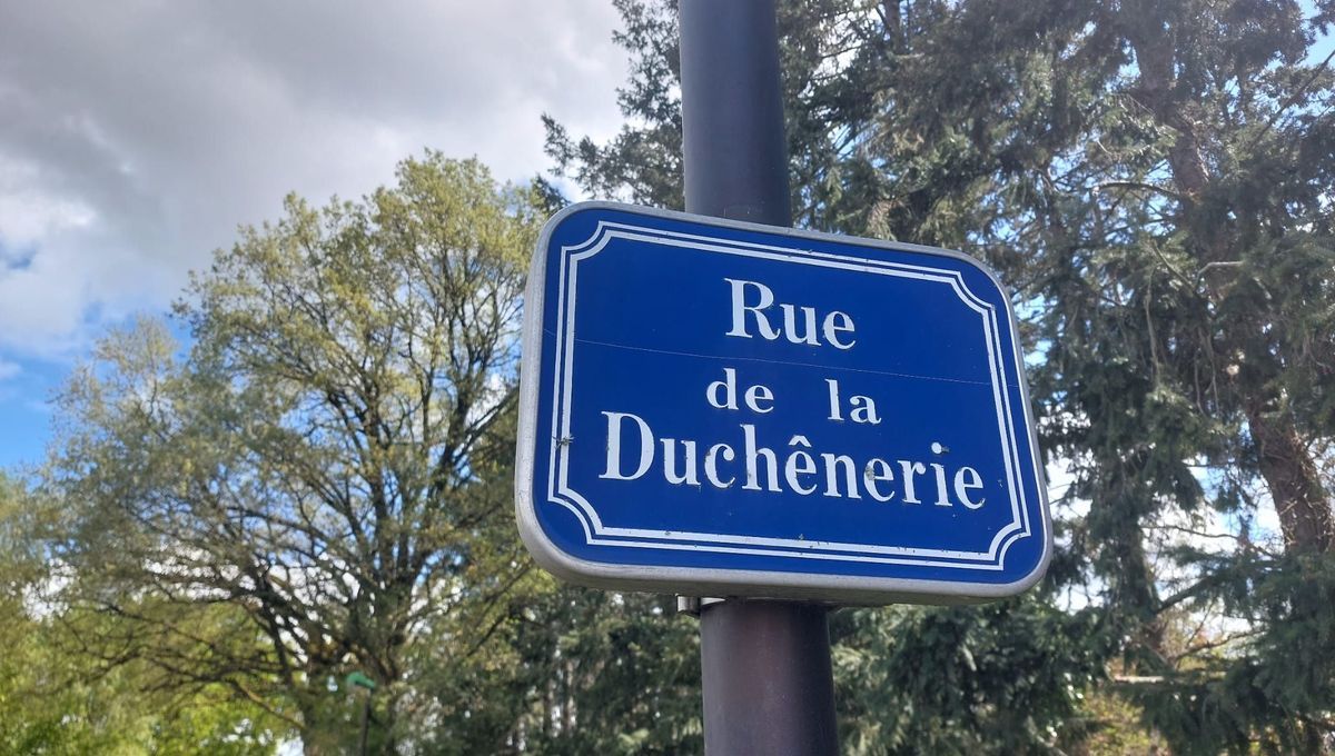 Montmorillon en deuil après un tragique double féminicide