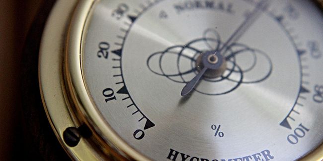 L'hygromètre : un allié indispensable pour vos plantes