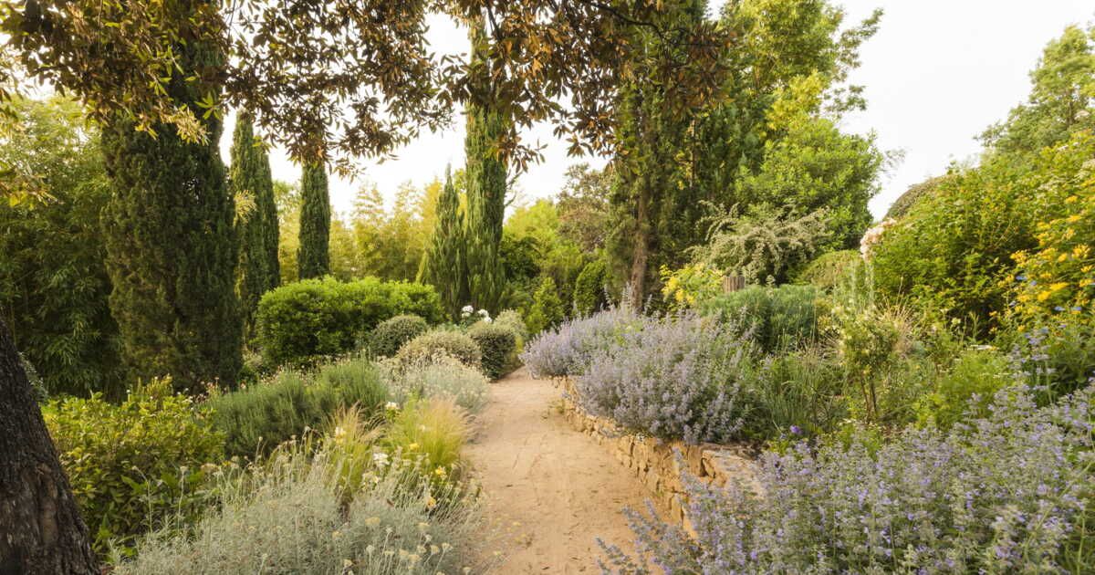 Aménagez un jardin naturel : 10 astuces pour un entretien simplifié