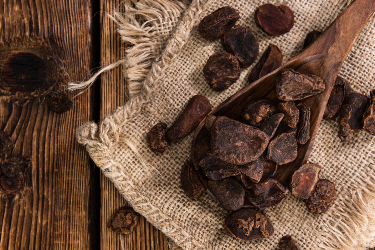 Noix de cola : un stimulant aux racines africaines