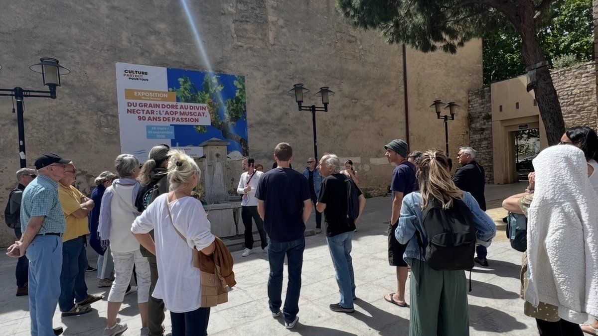 Frontignan redécouvre son passé dans une visite mémorable