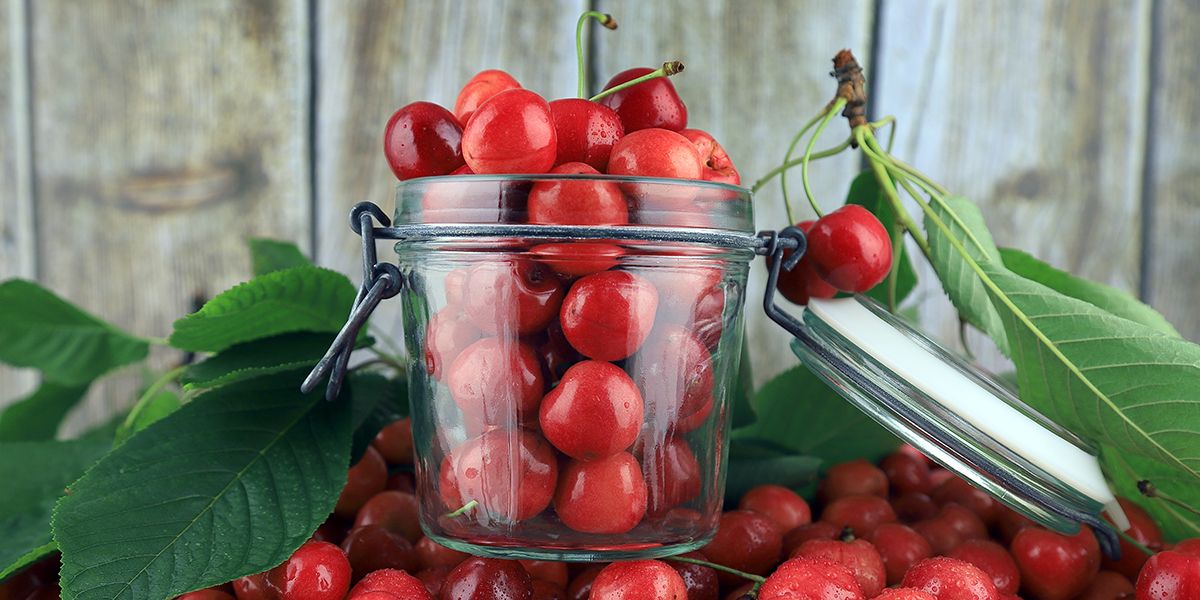 Astuce gourmande : comment préserver ses cerises pour en profiter toute l'année