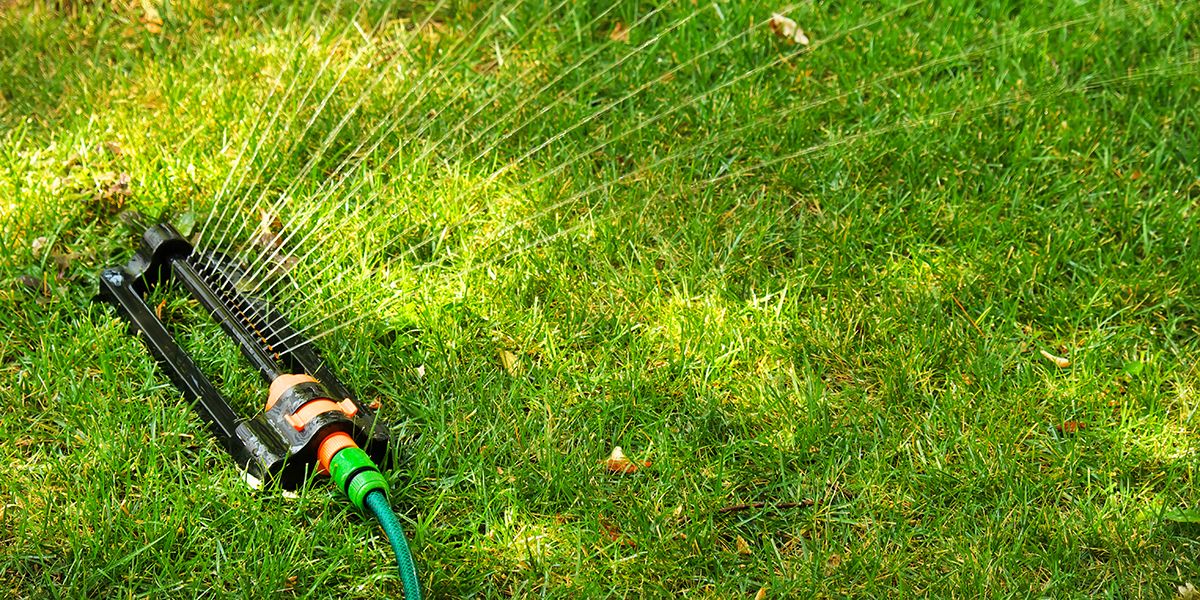 Des conseils pour un arrosage efficace de votre gazon cet été