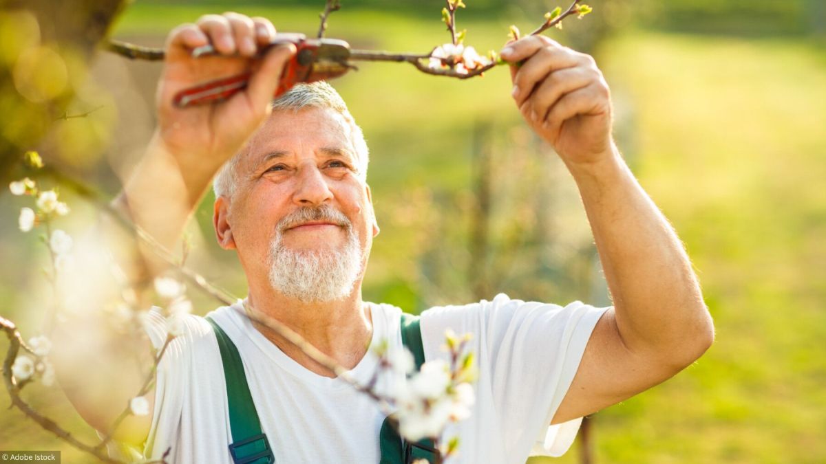 Les incontournables du jardinage en avril : conseils pratiques pour un jardin florissant