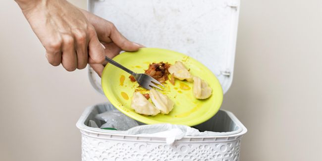 Agir face au gaspillage alimentaire : des solutions concrètes pour tous
