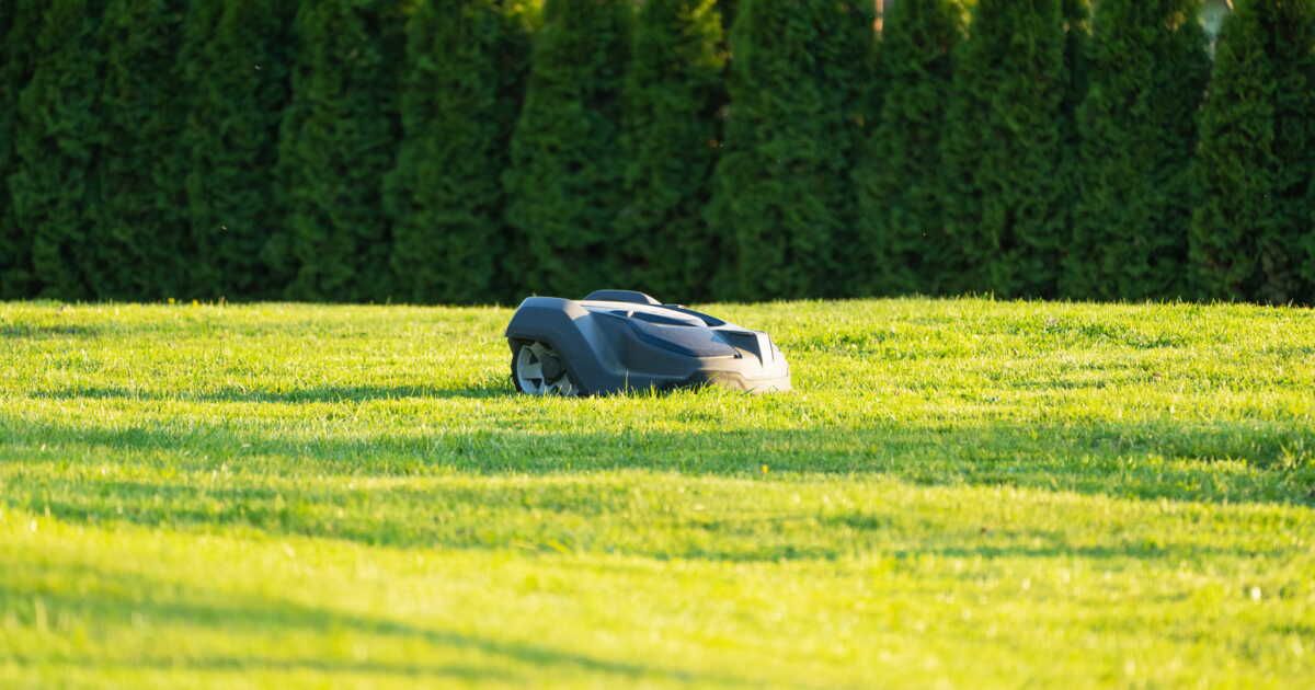 Le robot tondeuse, la solution pour un jardin impeccable ?