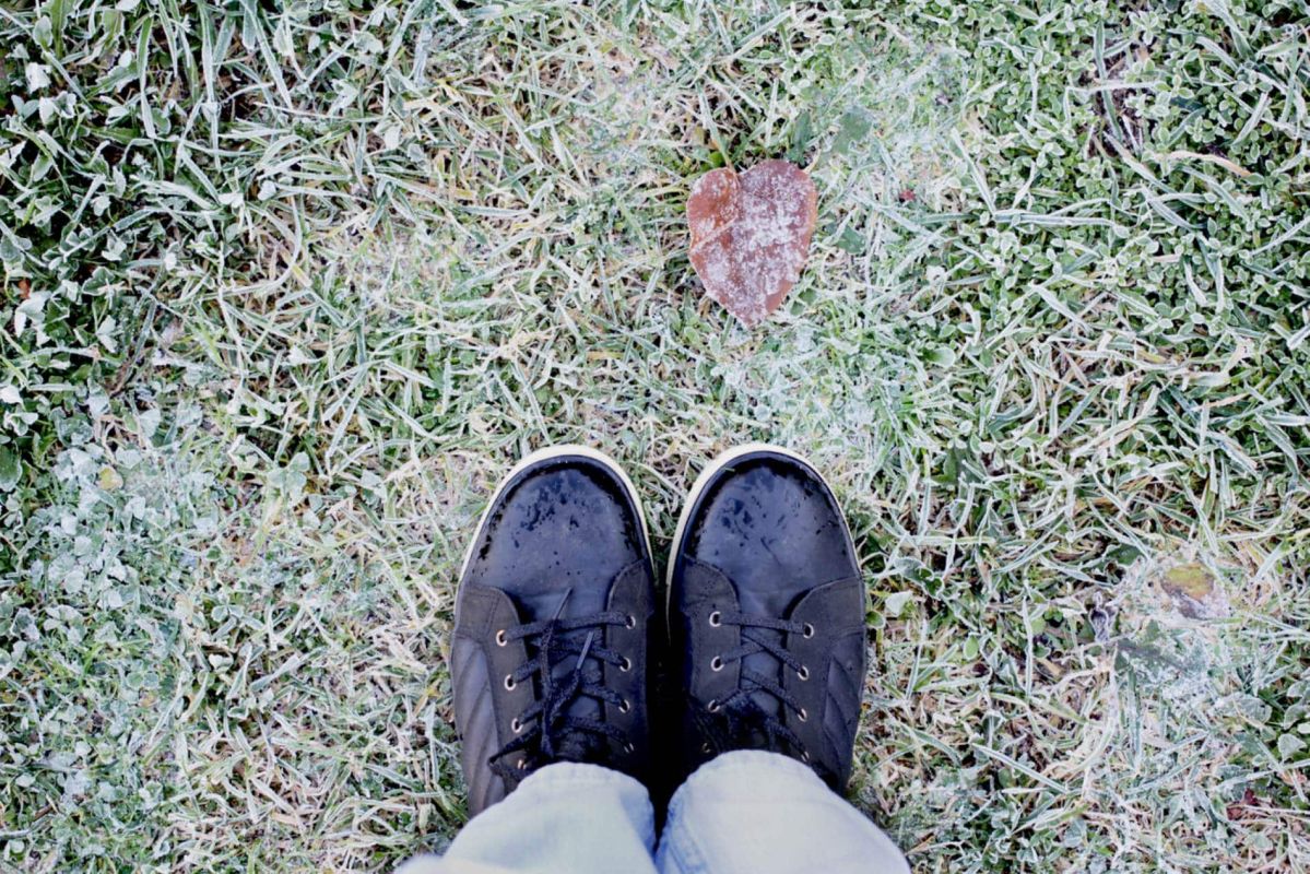 Protéger votre pelouse en hiver : les erreurs à éviter pour un jardin sain