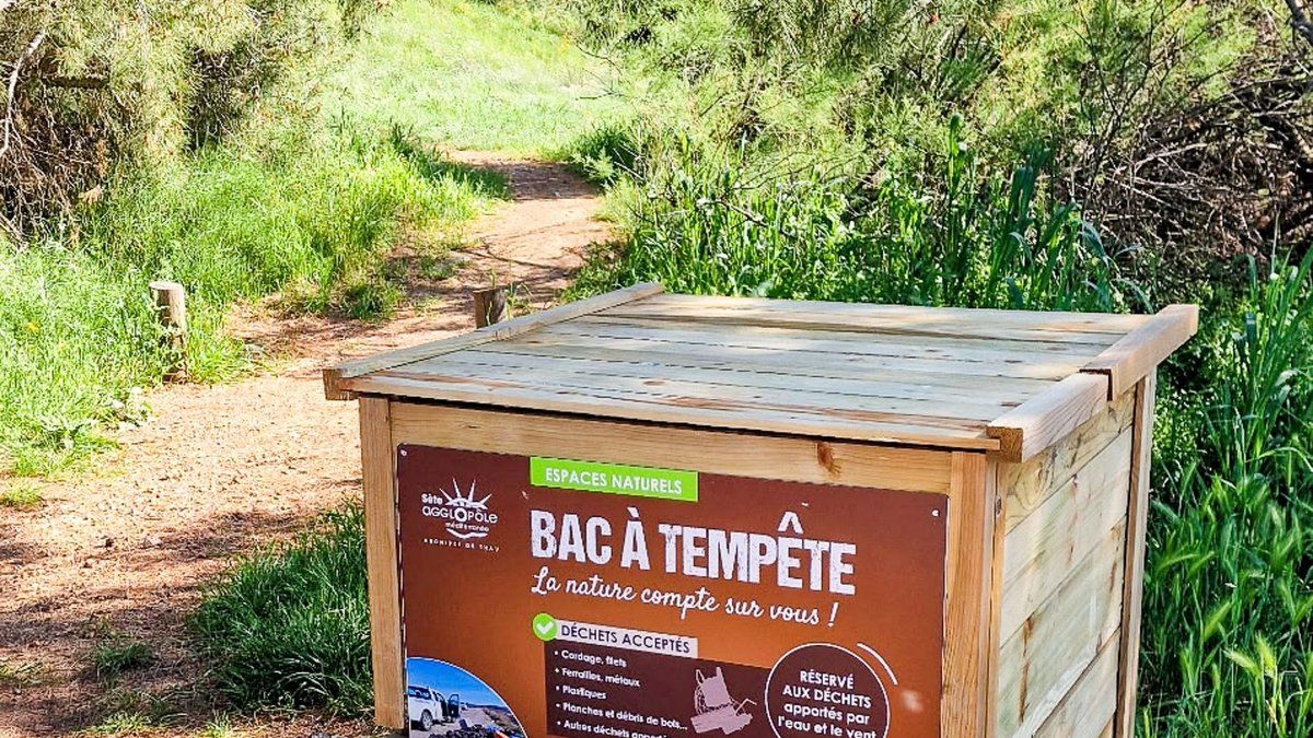 Des solutions innovantes pour protéger les trésors naturels du bassin de Thau