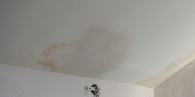 Peindre dans l'humidité : guide pratique pour des murs impeccables