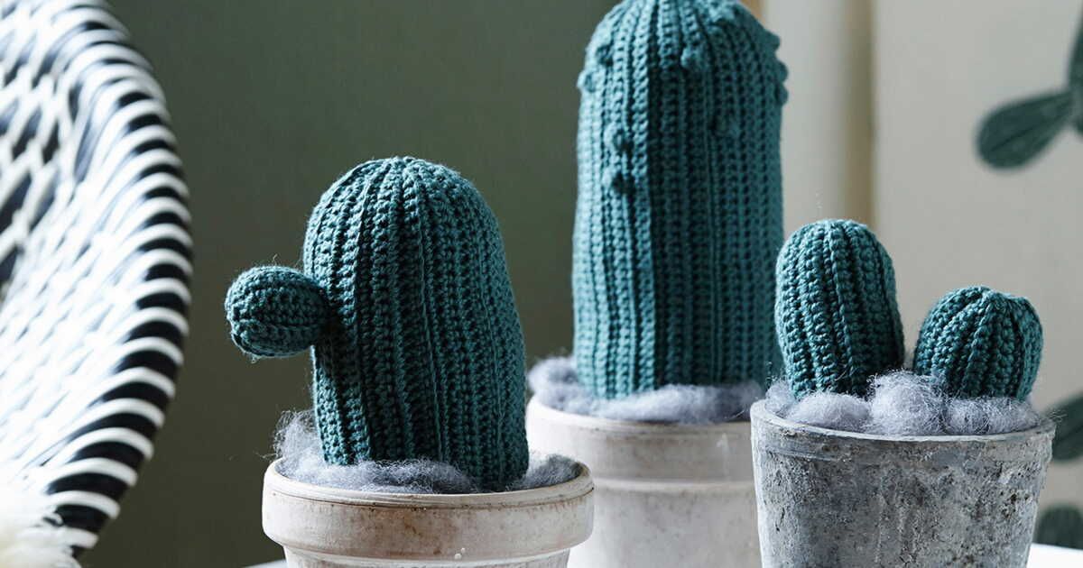 La tendance charmante des cactus crochetés
