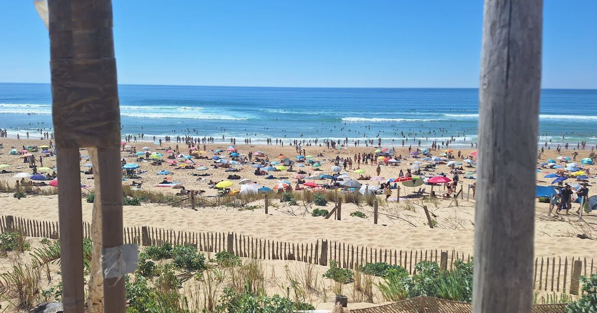 Plages de Gironde : un surfeur raconte ses sauvetages en plein weekend caniculaire