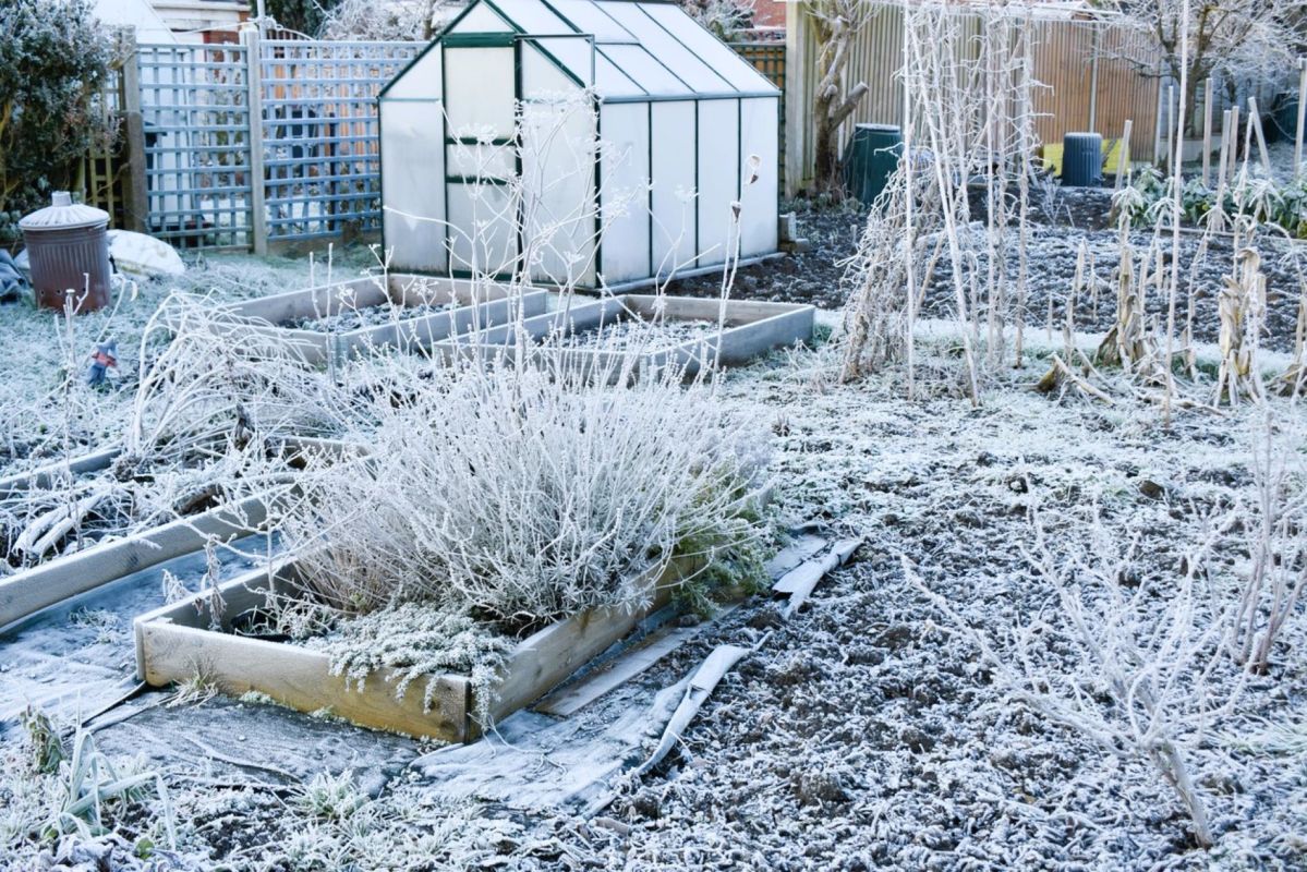 Les secrets du froid pour booster votre jardin