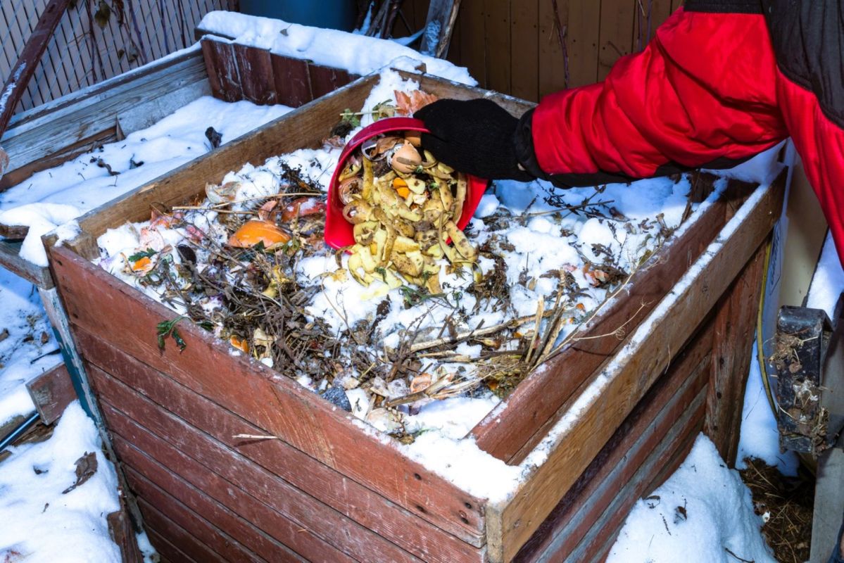 Comment garder votre compost en pleine forme cet hiver