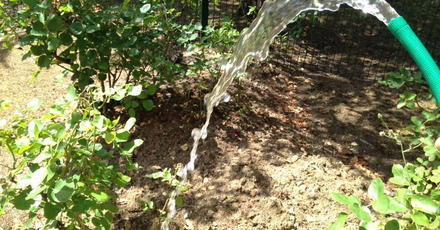 Restrictions d'eau : la Vienne face à la sécheresse