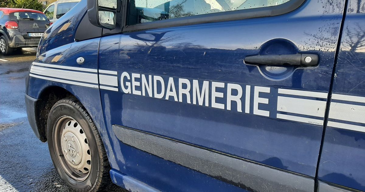 Lozère : artisans sous la menace des voleurs, la gendarmerie tire la sonnette d'alarme