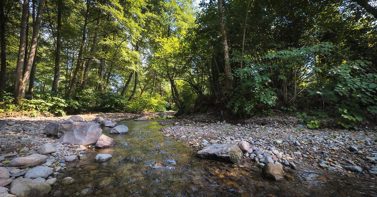 Vigilance pour quatre nouveaux cours d'eau en Dordogne face à la sécheresse