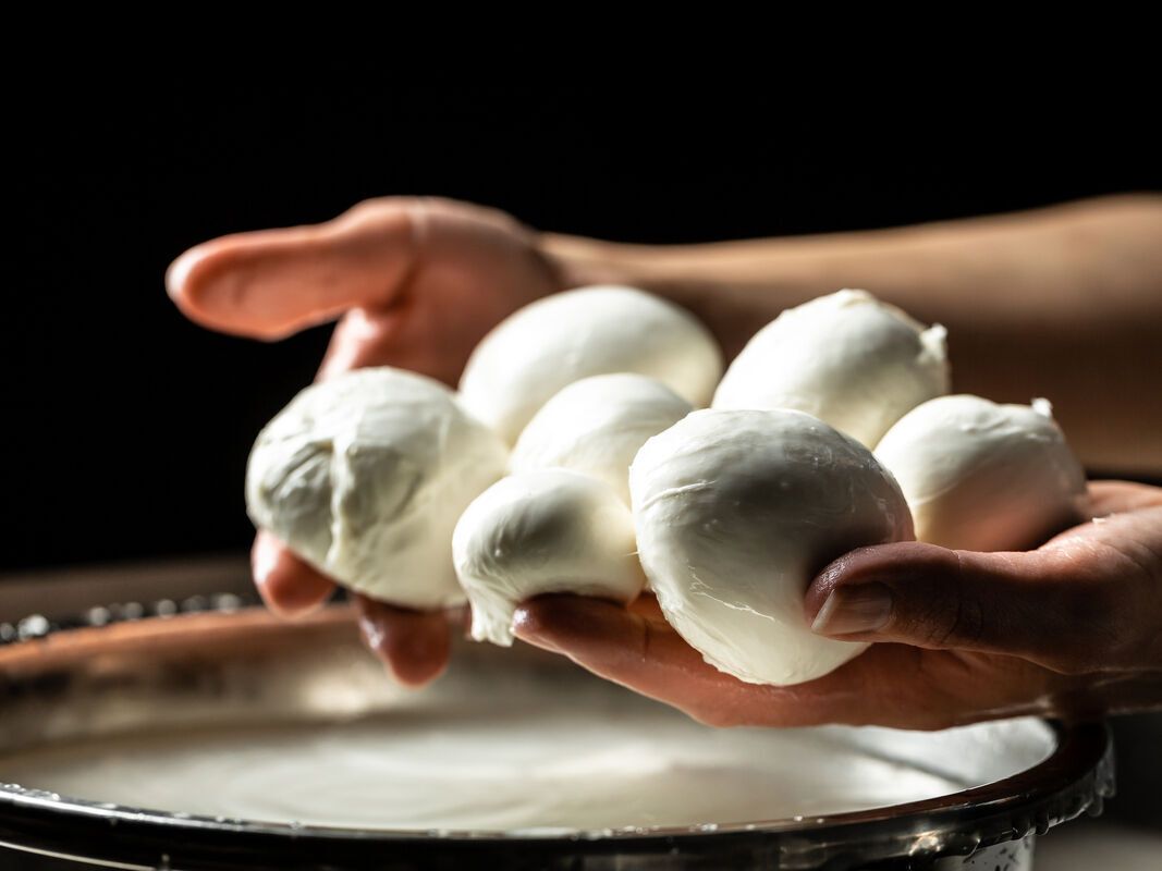 9 recettes savoureuses à la mozzarella pour régaler vos convives
